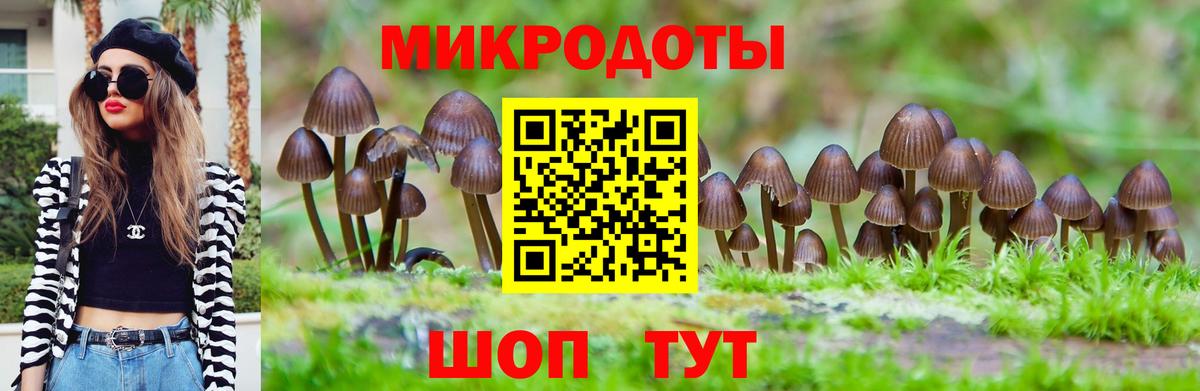 Псилоцибиновые грибы Psilocybe  Галлюциногенные грибы Magic Shrooms  Вход с VPN  Тара 